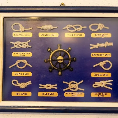 Sunset فيوميتشينو